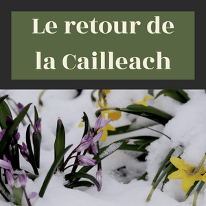 Le retour de la Cailleach